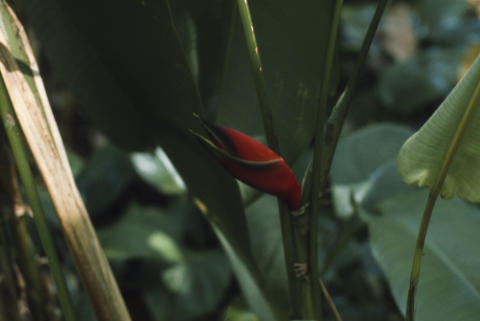 Travel & Nature Fine Art Print