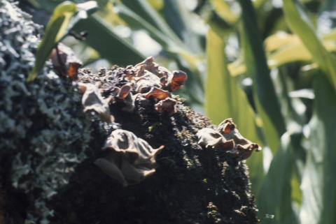 Travel & Nature Fine Art Print