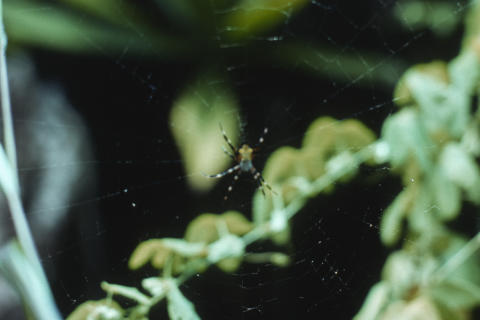 Travel & Nature Fine Art Print