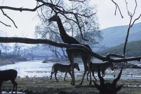 Travel & Nature Fine Art Print