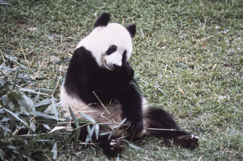 Travel & Nature Fine Art Print