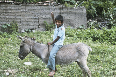 Travel & Nature Fine Art Print