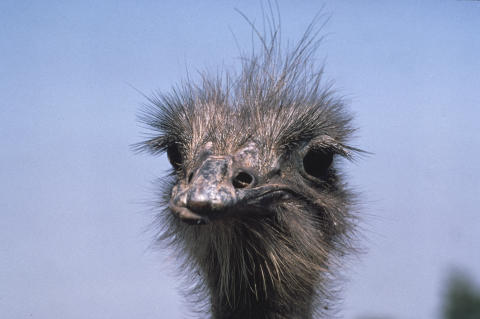 Travel & Nature Fine Art Print