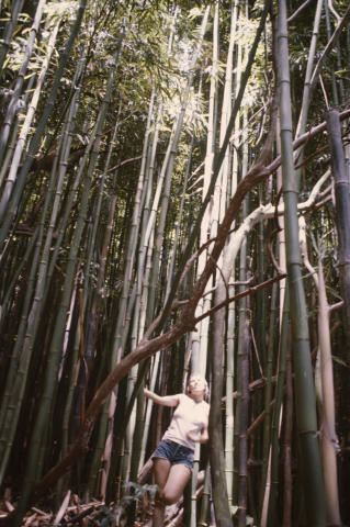 Travel & Scenery Fine Art Print