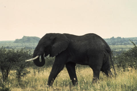 Travel & Scenery Fine Art Print