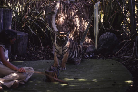 Travel & Scenery Fine Art Print