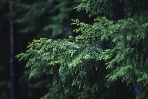 Travel & Scenery Fine Art Print