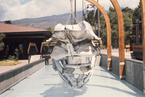 Travel & Scenery Fine Art Print