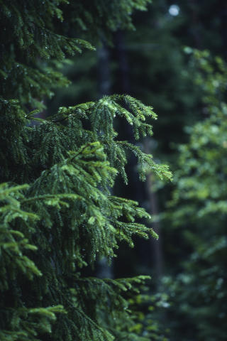 Travel & Scenery Fine Art Print