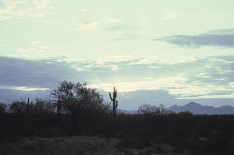 Travel & Scenery Fine Art Print