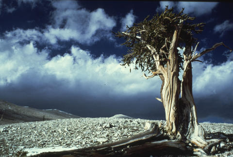 Travel & Scenery Fine Art Print