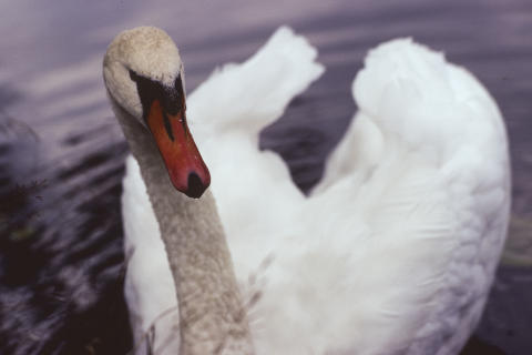 Travel & Animals Fine Art Print