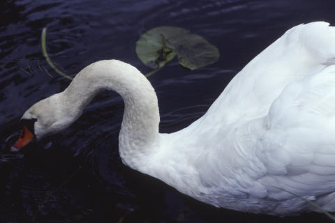 Travel & Animals Fine Art Print