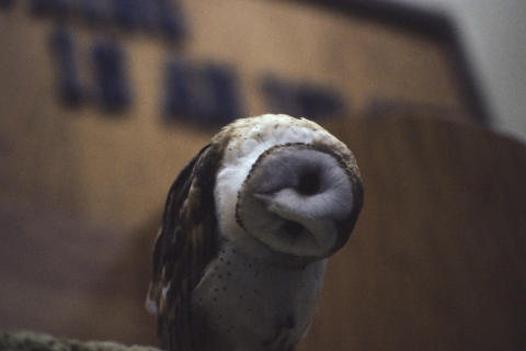 Travel & Animals Fine Art Print