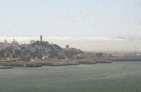 San Francisco Aerial Fine Art Print