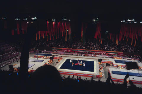 The Olympics Fine Art Print