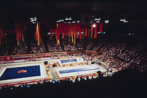 The Olympics Fine Art Print