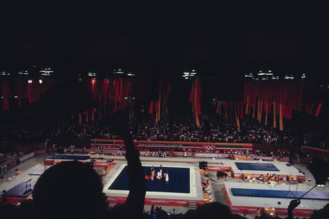 The Olympics Fine Art Print