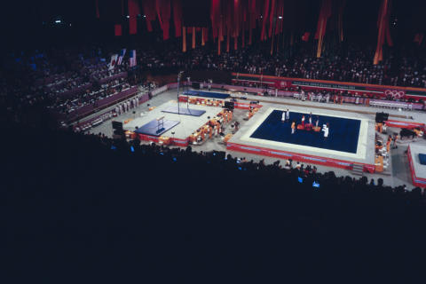 The Olympics Fine Art Print