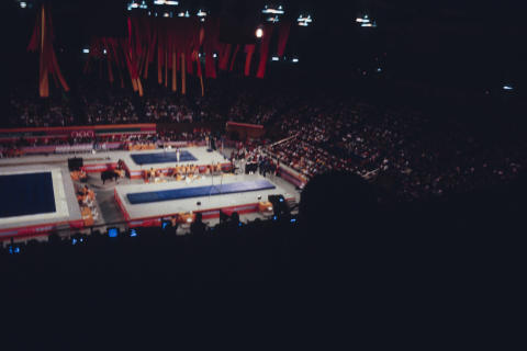 The Olympics Fine Art Print