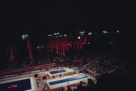 The Olympics Fine Art Print