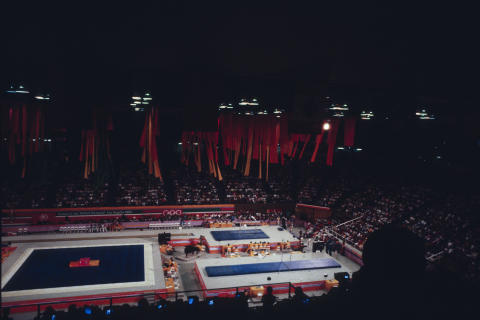 The Olympics Fine Art Print