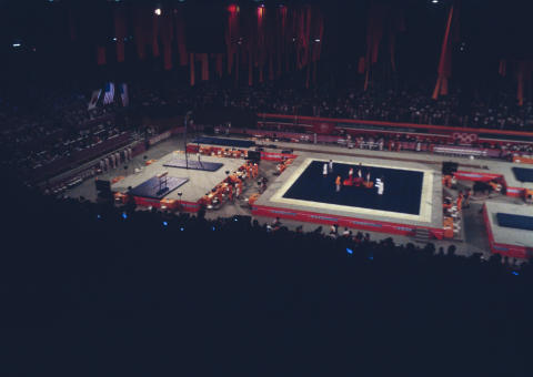 The Olympics Fine Art Print