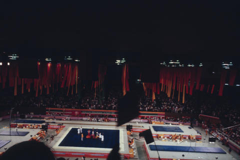 The Olympics Fine Art Print