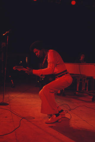 Ann Arbor Blues Festival Fine Art Print