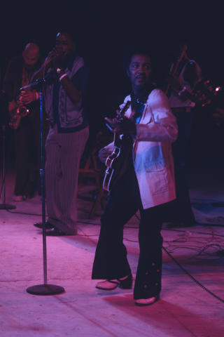 Ann Arbor Blues Festival Fine Art Print