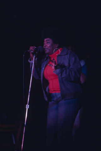 Ann Arbor Blues Festival Fine Art Print