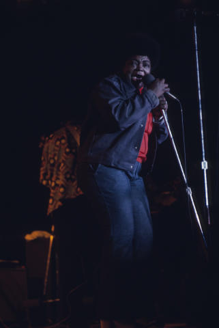 Ann Arbor Blues Festival Fine Art Print