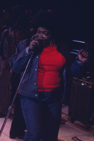 Ann Arbor Blues Festival Fine Art Print