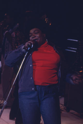 Ann Arbor Blues Festival Fine Art Print