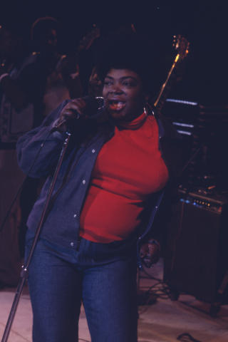 Ann Arbor Blues Festival Fine Art Print