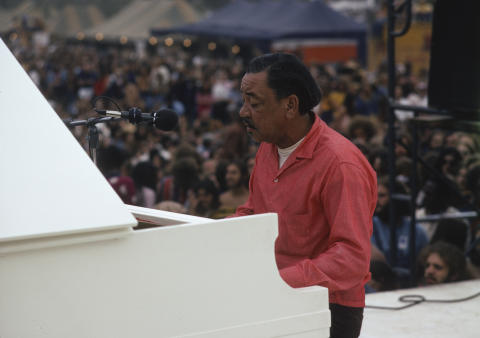 Ann Arbor Blues Festival Fine Art Print