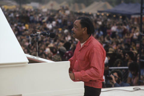 Ann Arbor Blues Festival Fine Art Print