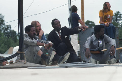 Ann Arbor Blues Festival Fine Art Print