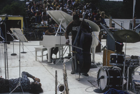 Ann Arbor Blues Festival Fine Art Print