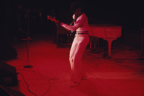 Ann Arbor Blues Festival Fine Art Print