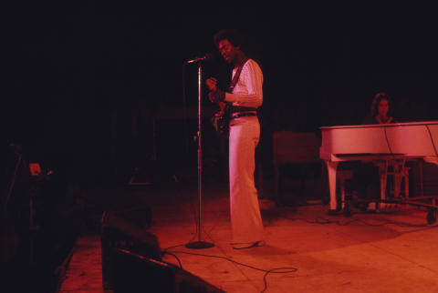 Ann Arbor Blues Festival Fine Art Print