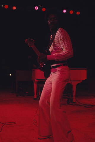 Ann Arbor Blues Festival Fine Art Print