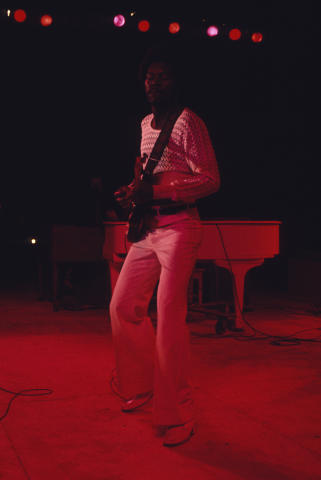 Ann Arbor Blues Festival Fine Art Print