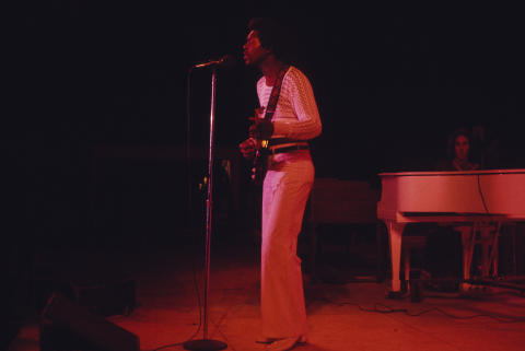 Ann Arbor Blues Festival Fine Art Print