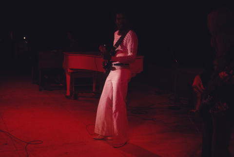 Ann Arbor Blues Festival Fine Art Print