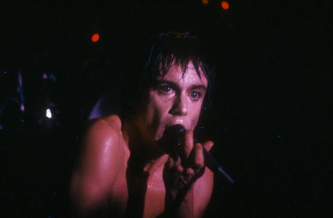 Iggy Pop Fine Art Print