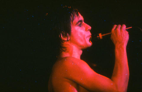 Iggy Pop Fine Art Print