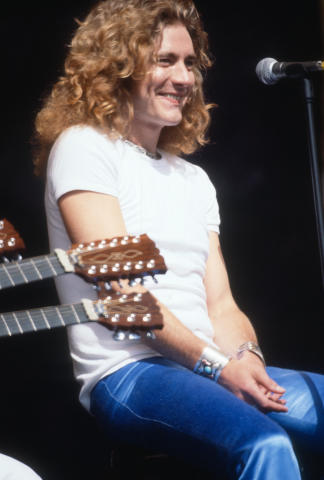 Led Zeppelin Fine Art Print