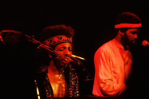 Sly Stone Fine Art Print