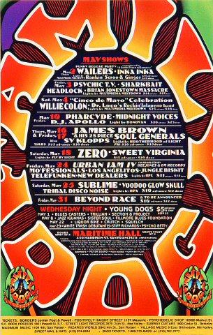 The Wailers Handbill